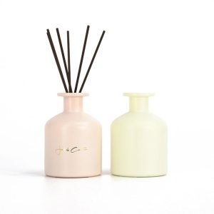 Empty Frosted Glass Reed Diffuser Bottle with Cap and Stick
