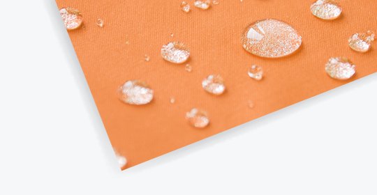 aqueous coating